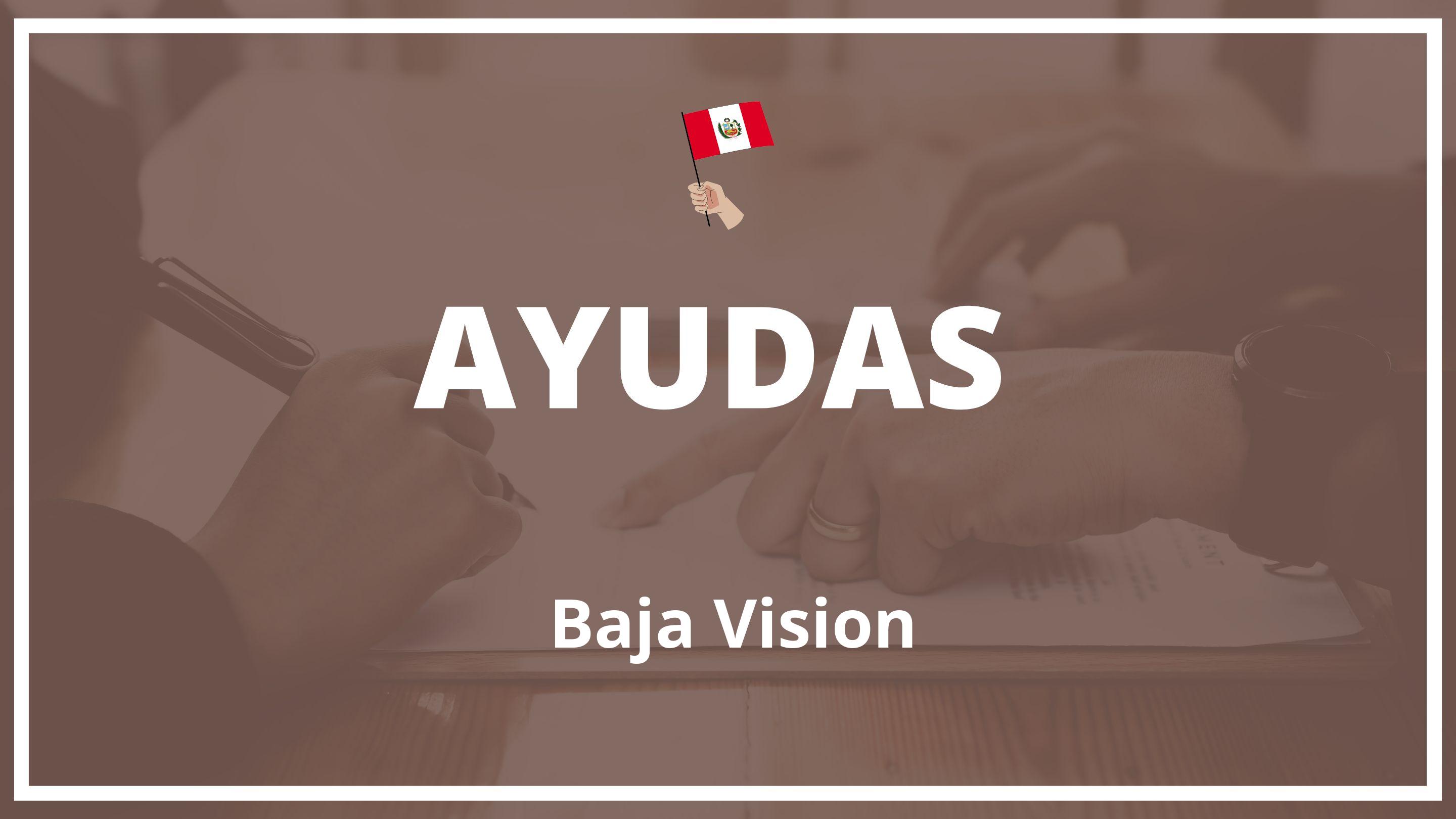 Ayudas para baja vision Peru