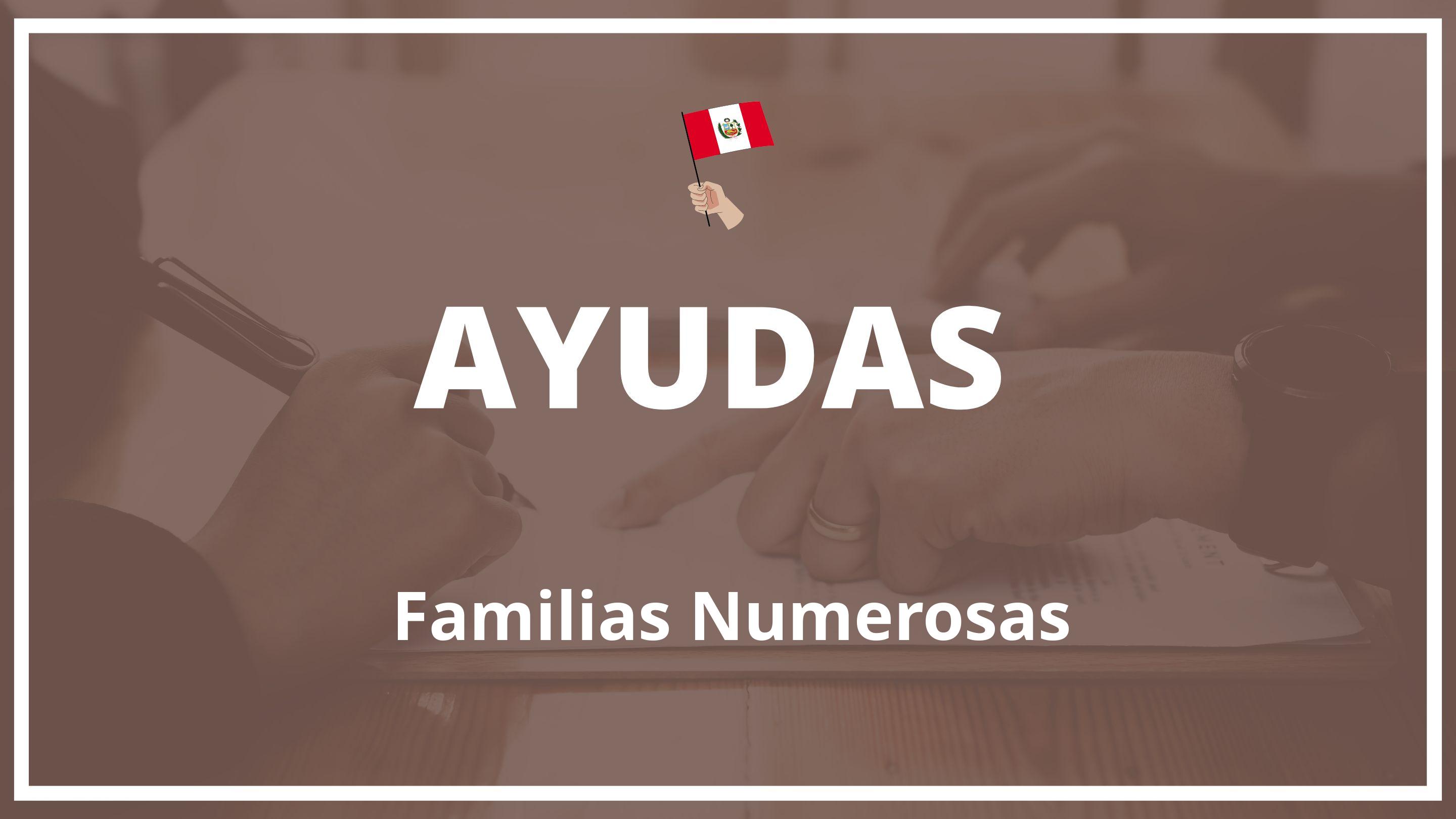 Ayudas para familias numerosas Peru