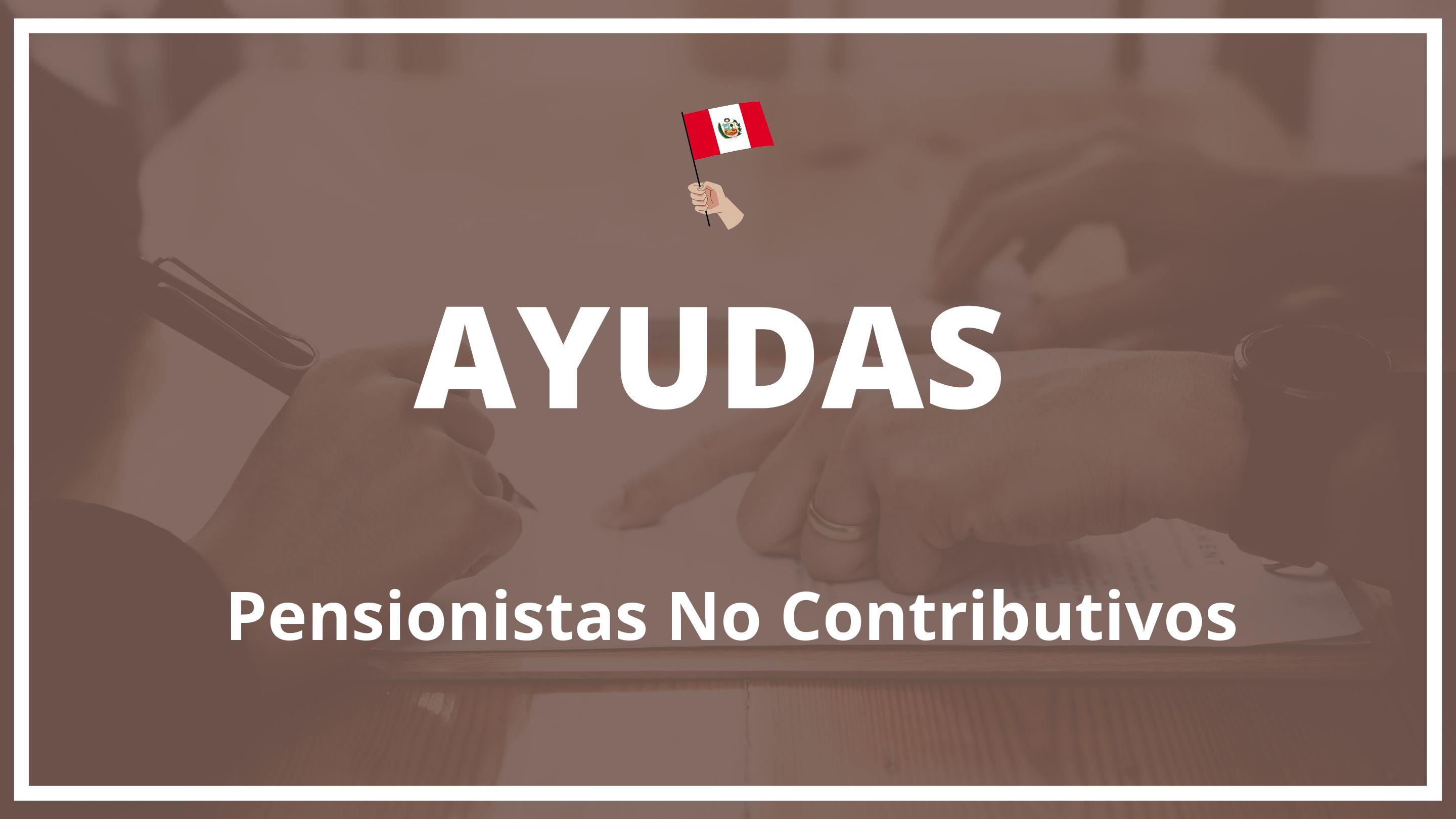 Ayudas para pensionistas no contributivos Peru