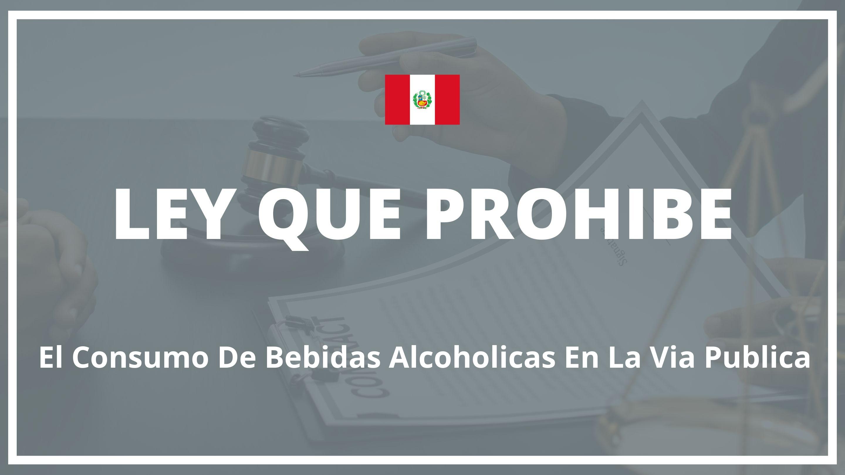 Ley que prohibe el consumo de bebidas alcoholicas en la via publica Peru