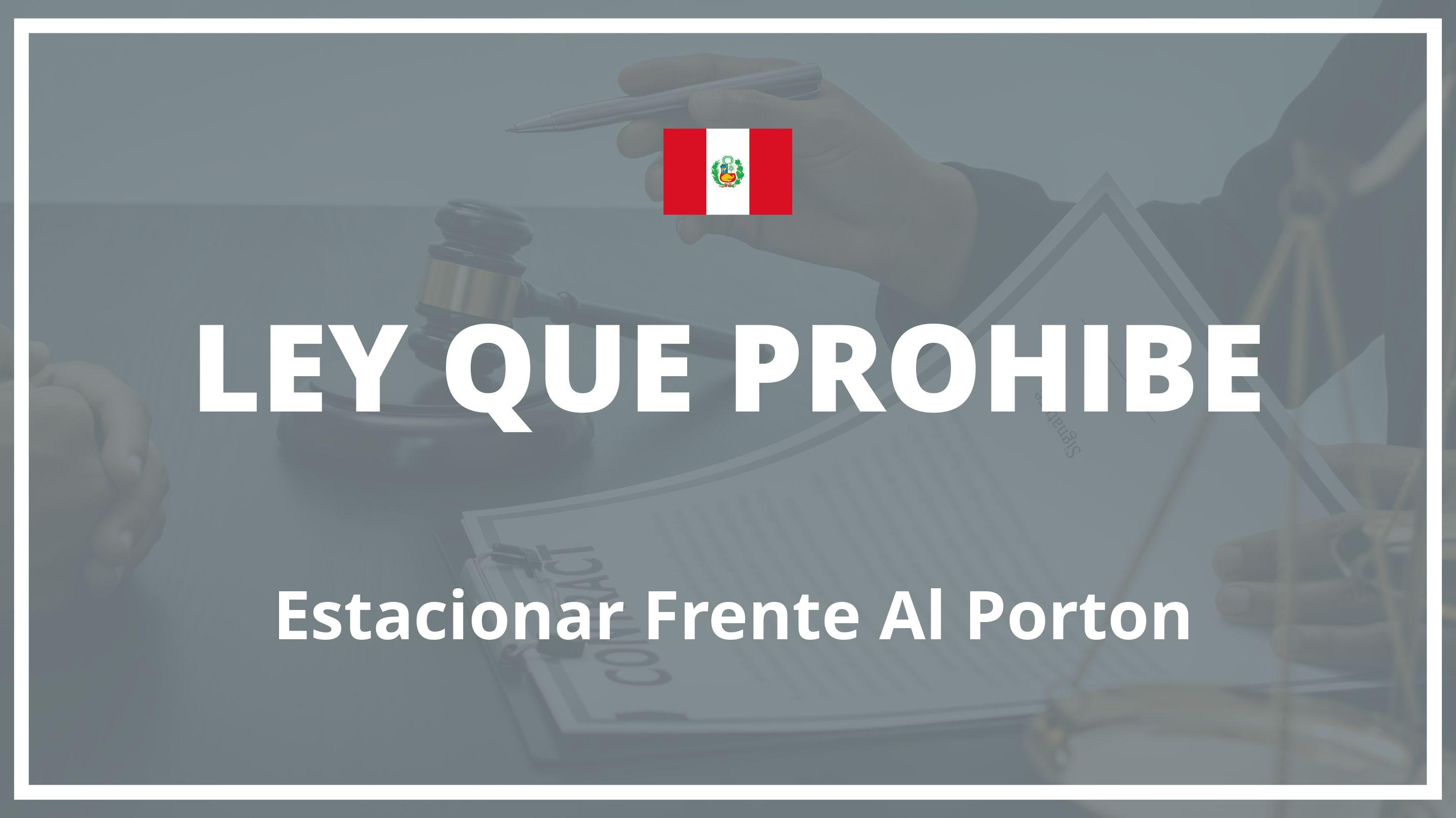Ley que prohibe estacionar frente al porton Peru